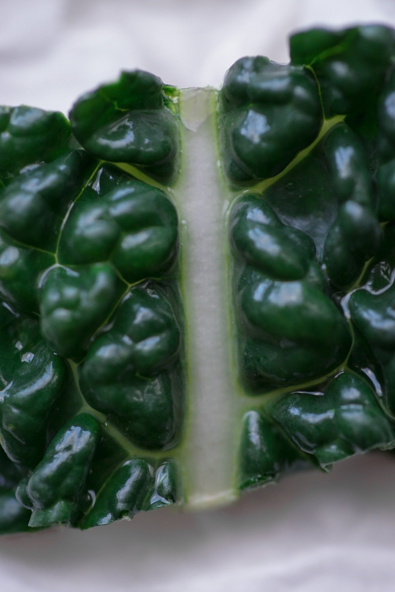 New Research Suggests Quercetin May Help Protect Kidney Health