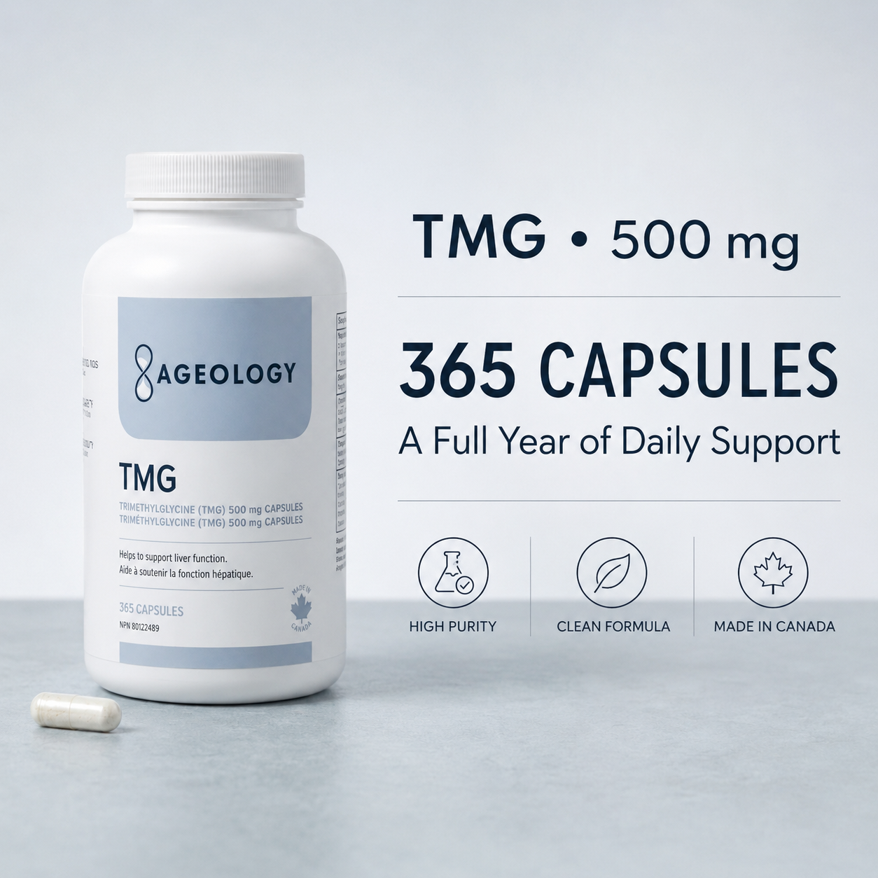 A white bottle of Ageology TMG 500 mg capsules with a single capsule lying beside it on a light gray surface. Large text reads 'TMG • 500 mg', '365 CAPSULES', and 'A Full Year of Daily Support', with small icons for high purity, clean formula, and made in Canada.
