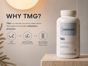 A white bottle of Ageology TMG dietary supplement displayed on a stone pedestal next to an informational graphic explaining the benefits of TMG.